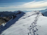 Antecima (mt 2369)