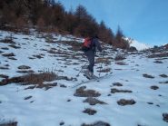 si parte sul vetrato