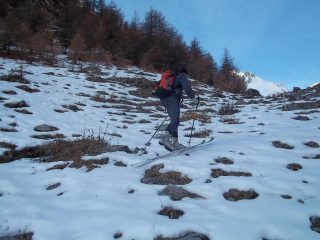 si parte sul vetrato