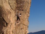 Davide addomestica Tatina