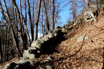 la mulattiera che sale da Mottera