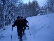 in salita nel bosco...