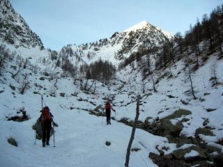 inizia la neve