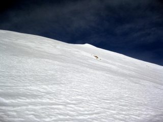 quasi in cima