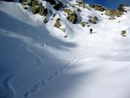 farina 1
