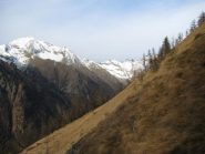I pendii di salita al Monte Civetto