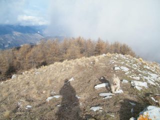 cime d'anan