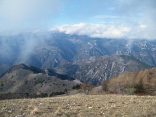 valle roya