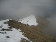 migliora la visibilità