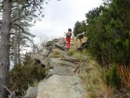 tratto lastricato della mulattiera: qui la maestria costruttiva dei nostri antenati ha ancora la meglio sulla natura... ma non per molto, vista la manutenzione nulla dei tempi moderni