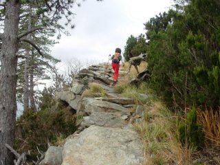 tratto lastricato della mulattiera: qui la maestria costruttiva dei nostri antenati ha ancora la meglio sulla natura... ma non per molto, vista la manutenzione nulla dei tempi moderni