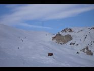 verso il colle