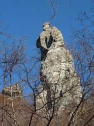 la torre spunta dai castagni