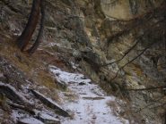 camoscio sulle rocce...