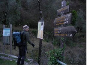 CONSULTANDO LE PALINE SEGNAVIA