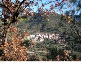OLIVETTA SAN MICHELE