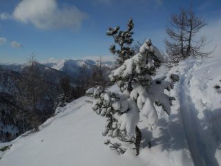 in vetta