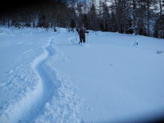 all'uscita dal bosco prima delle baite