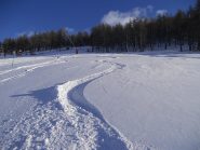 firma in uscita dal bosco