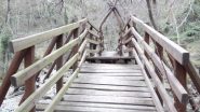  il ponte sul torrente Lerone