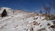 sulla dorsale verso alpe Colmetto e Arbella