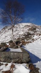 alla vasca in pietra all'alpe Colmetto