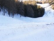 01 - desolante l'erba che salta fuori dalla pista Rossignol...