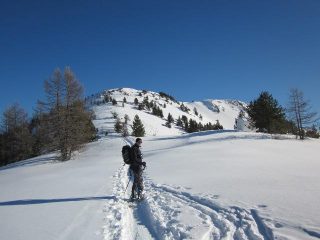 al colletto sotto la Cochette