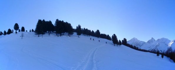 inizia la parte boschiva...