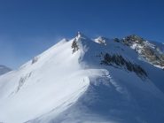 dalla cima
