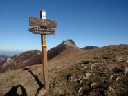 la cima dalla Celletta