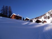 per caso affittano?!