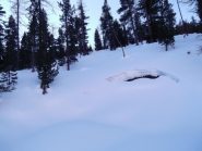 di qua direzione balocchi, io invece scelgo la più tranquilla e solare crosta!!