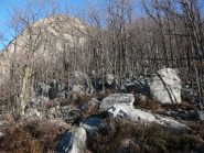 il bric sbuca dal bosco