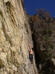 Top Keope 6c Gianluca