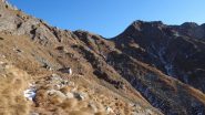 alpe e pian del Gallo