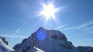 Roisette in controluce...