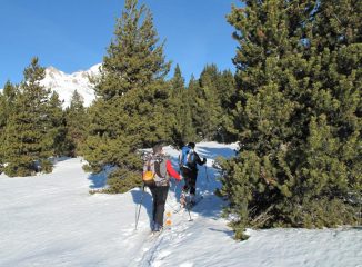 Il Bois des Lours