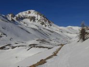 Buona la Grand Aréa