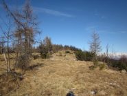 sulla cresta poco prima della vetta