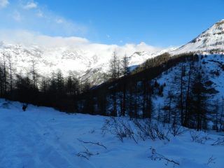 Fuori dal bosco, tra poco si svolta a destra