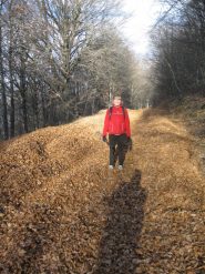 no spartineve ma spartifoglie