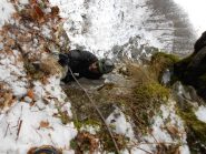 Uscita impegnativa su muschio e radici