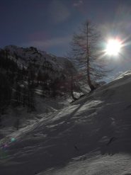 Ambiente,primo pomeriggio.