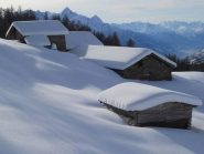 alpe Champ