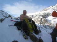 Orso polare: bestia rara sulle Alpi...