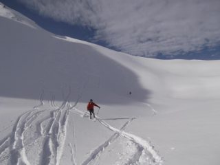 prime curve in farina