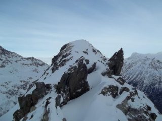 Grauhorn
