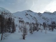 Galihorn