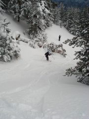 curve in neve farinosa